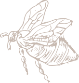 Obrázek kategorie 3